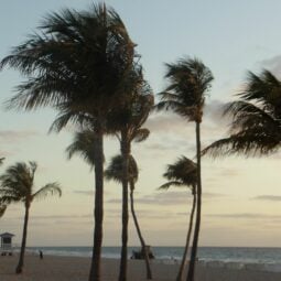 The Best Impact Windows Fort Lauderdale