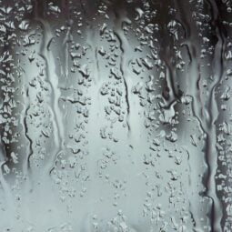 The Top Rated Impact Windows in Boca Raton
