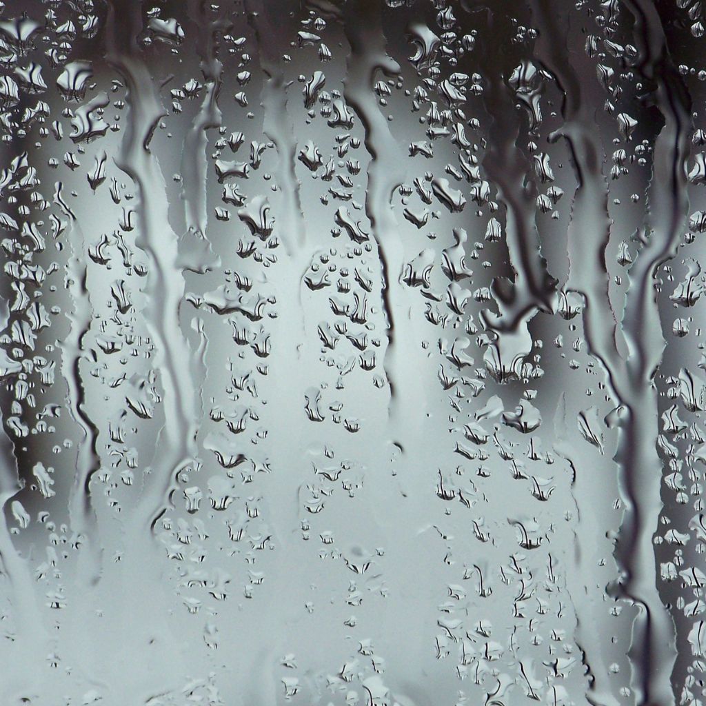 The Top Rated Impact Windows in Boca Raton