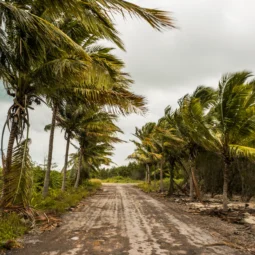 Hurricane Doors vs. Standard Doors: What’s Safer for Bonita Springs Homes?