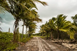 Hurricane Doors vs. Standard Doors