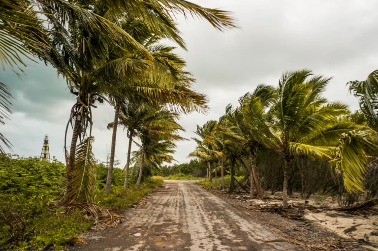 Hurricane Doors vs. Standard Doors
