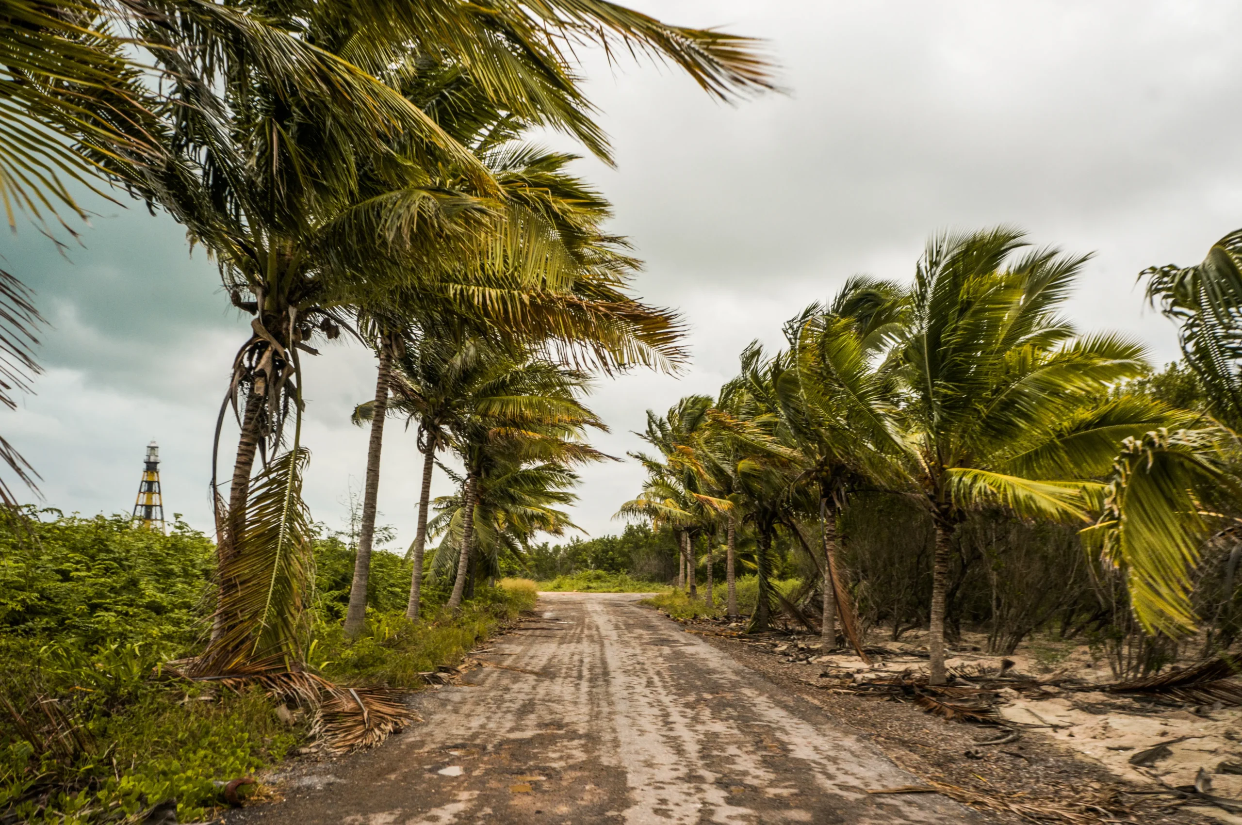 Hurricane Doors vs. Standard Doors