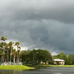 Why Naples Homeowners Are Switching to Hurricane Impact Doors