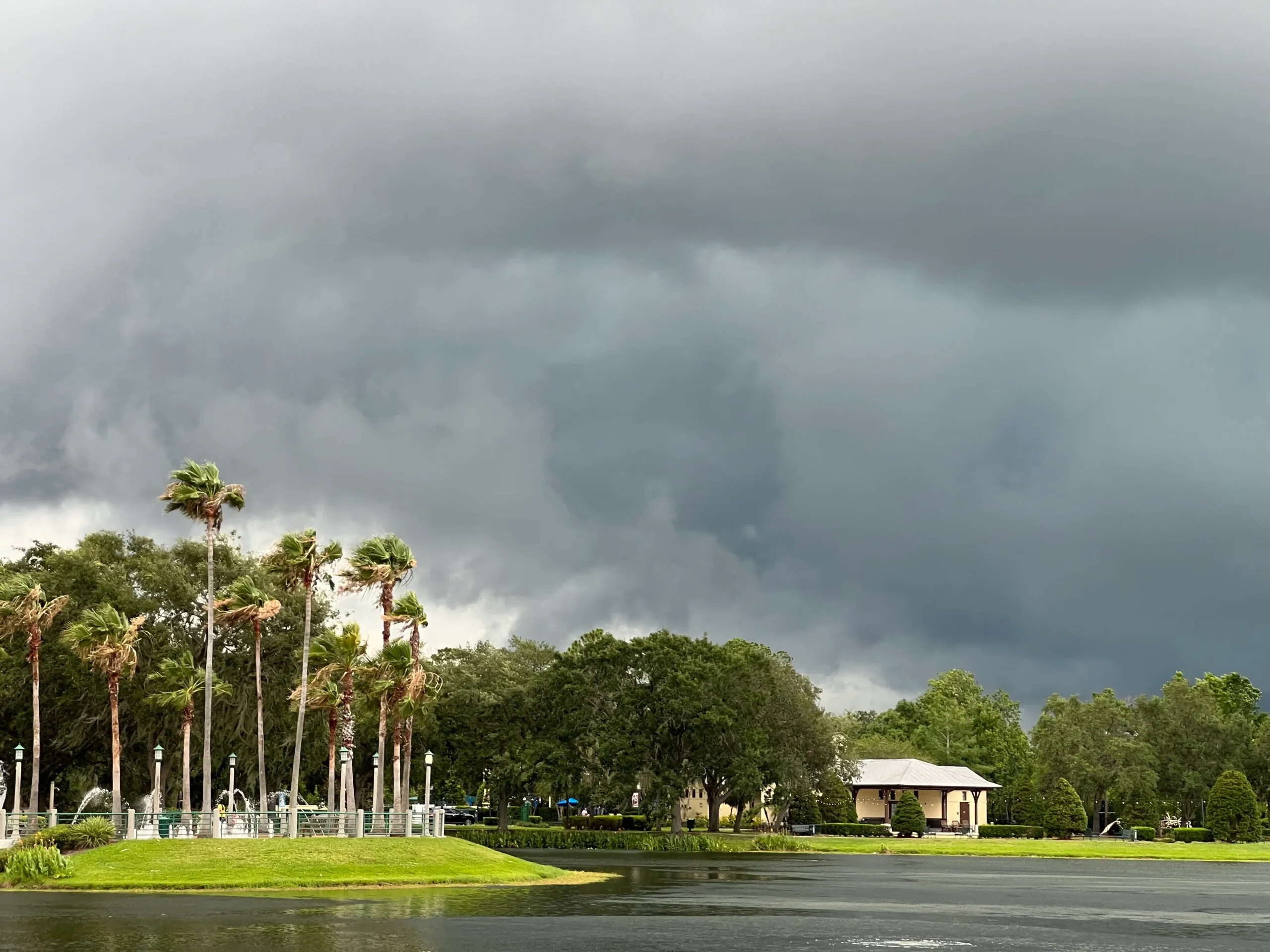 Switching to Hurricane Impact Doors